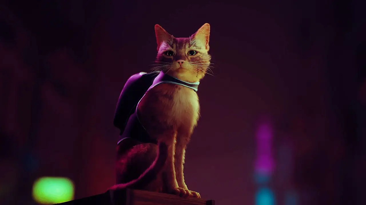 Stray
