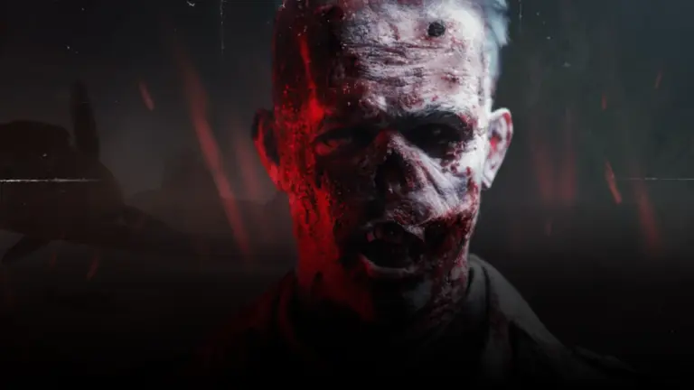 Project Z Beyond Order