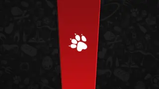 Naughty Dog 1