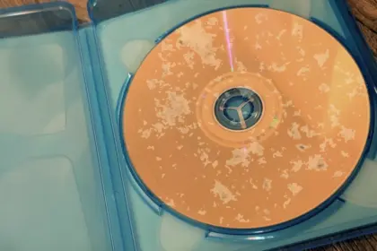 disc rot