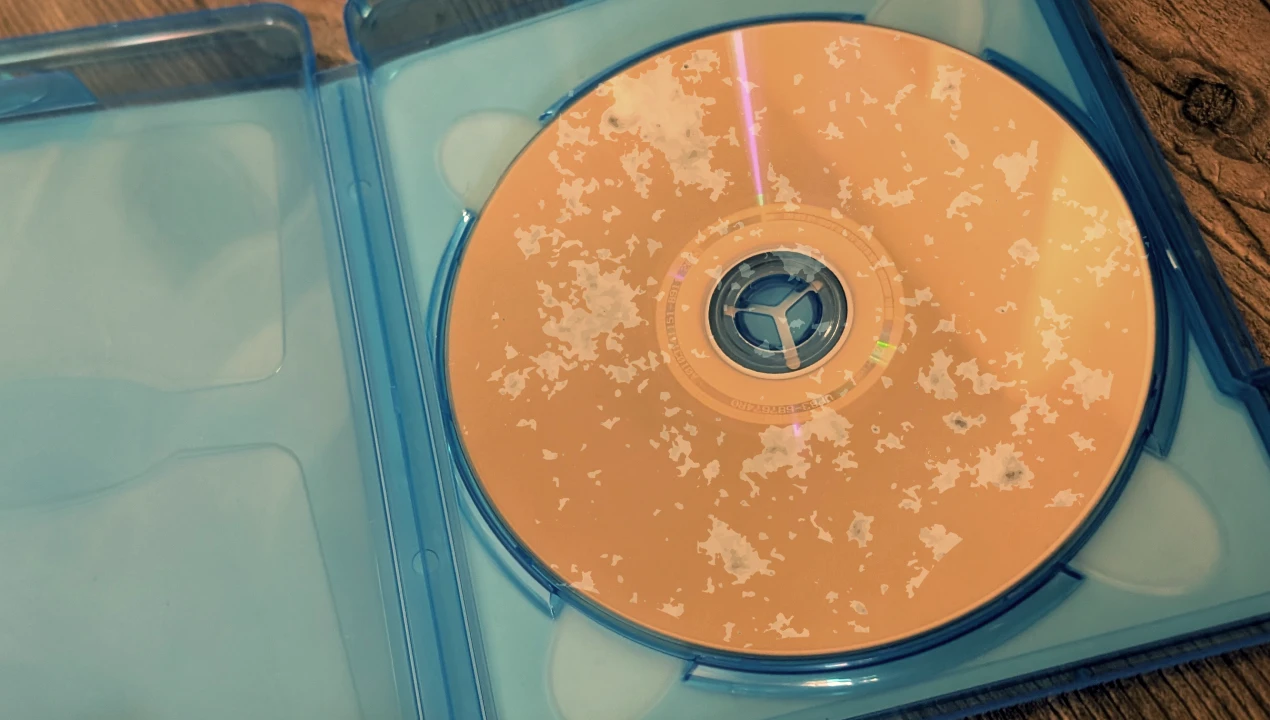 disc rot
