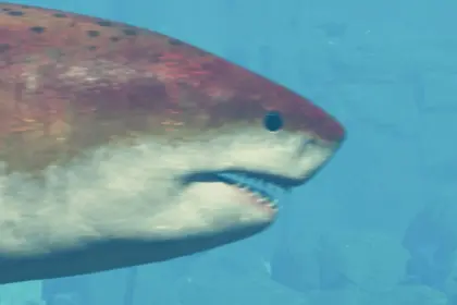 Jurassic World Evolution 3 Megalodon