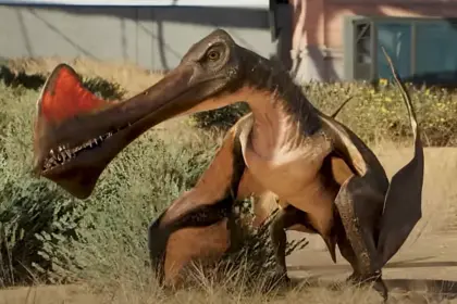 Jurassic World Evolution 3 Tropeognathus