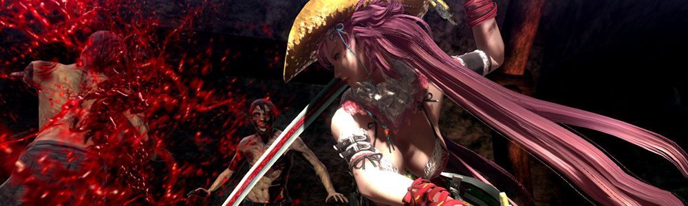 Onechanbara Z2 Chaos