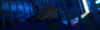 Among The Sleep