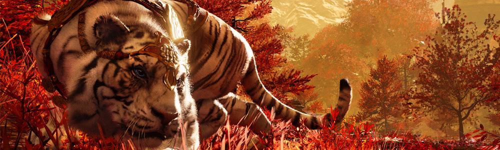 Far Cry 41