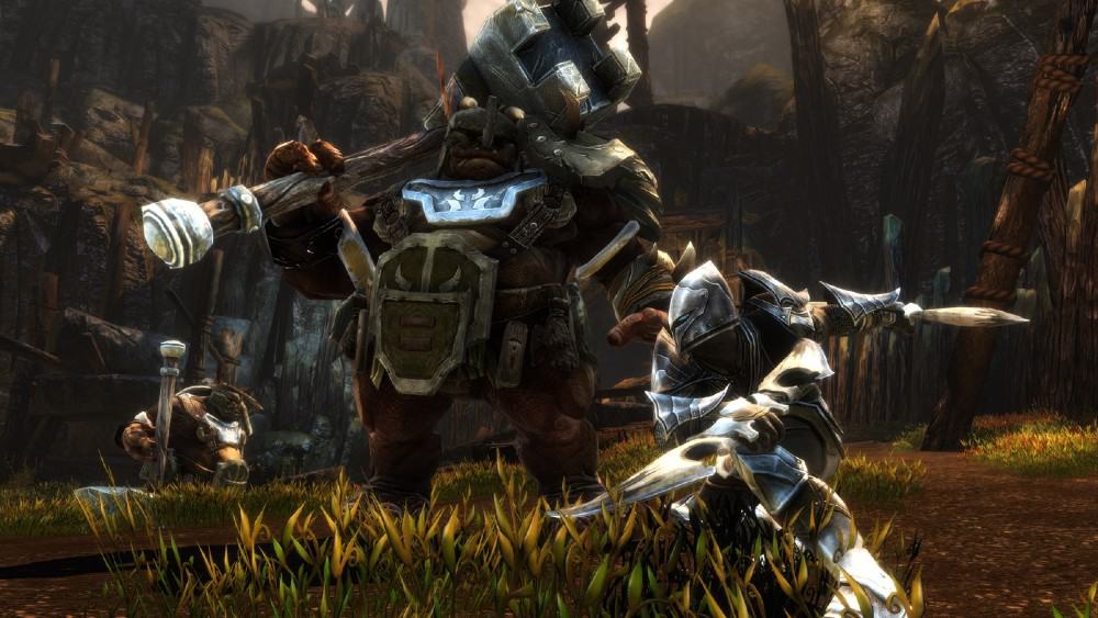 Kingdoms Of Amalur