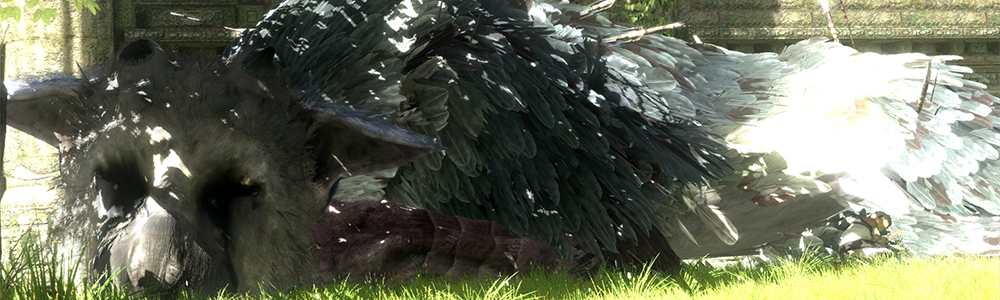 The Last Guardian1