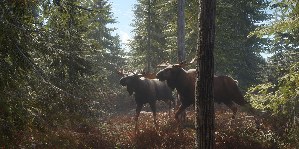 TheHunter Call Of The Wild